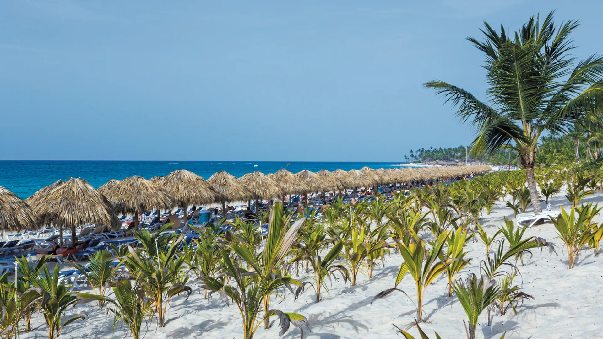 Resort Riu Republica (Adults Only) Otel Punta Cana